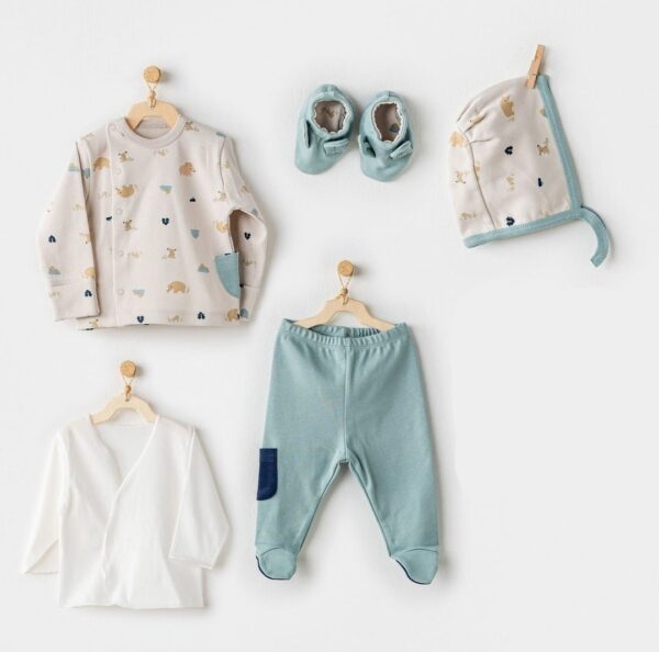 Bears beige and blue 5 pcs set