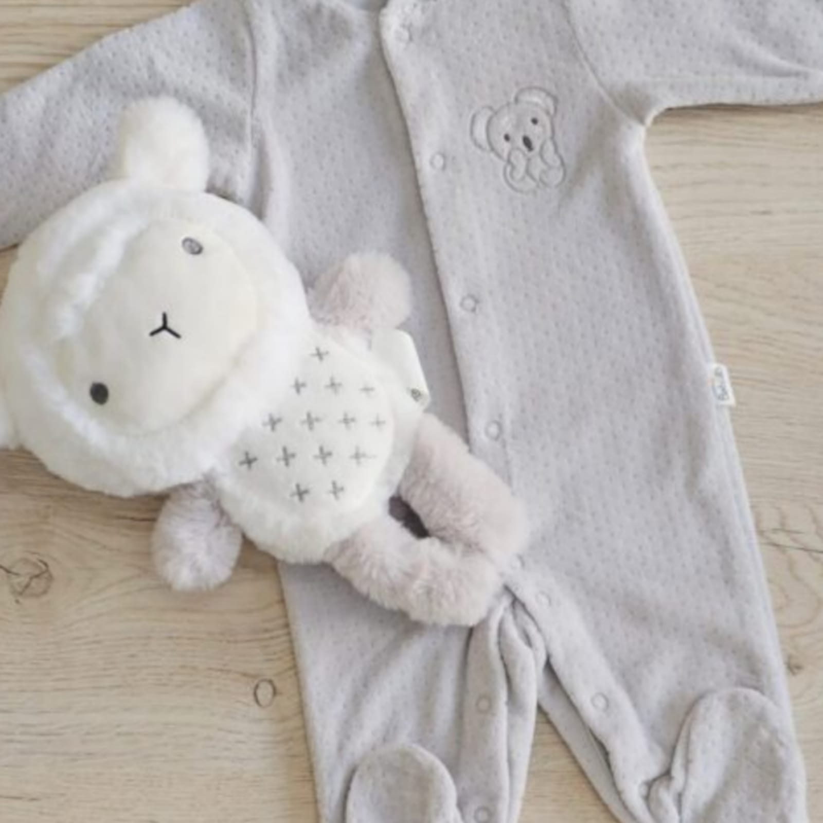 WhatsApp Image 2026-04-06 at 11.46.57