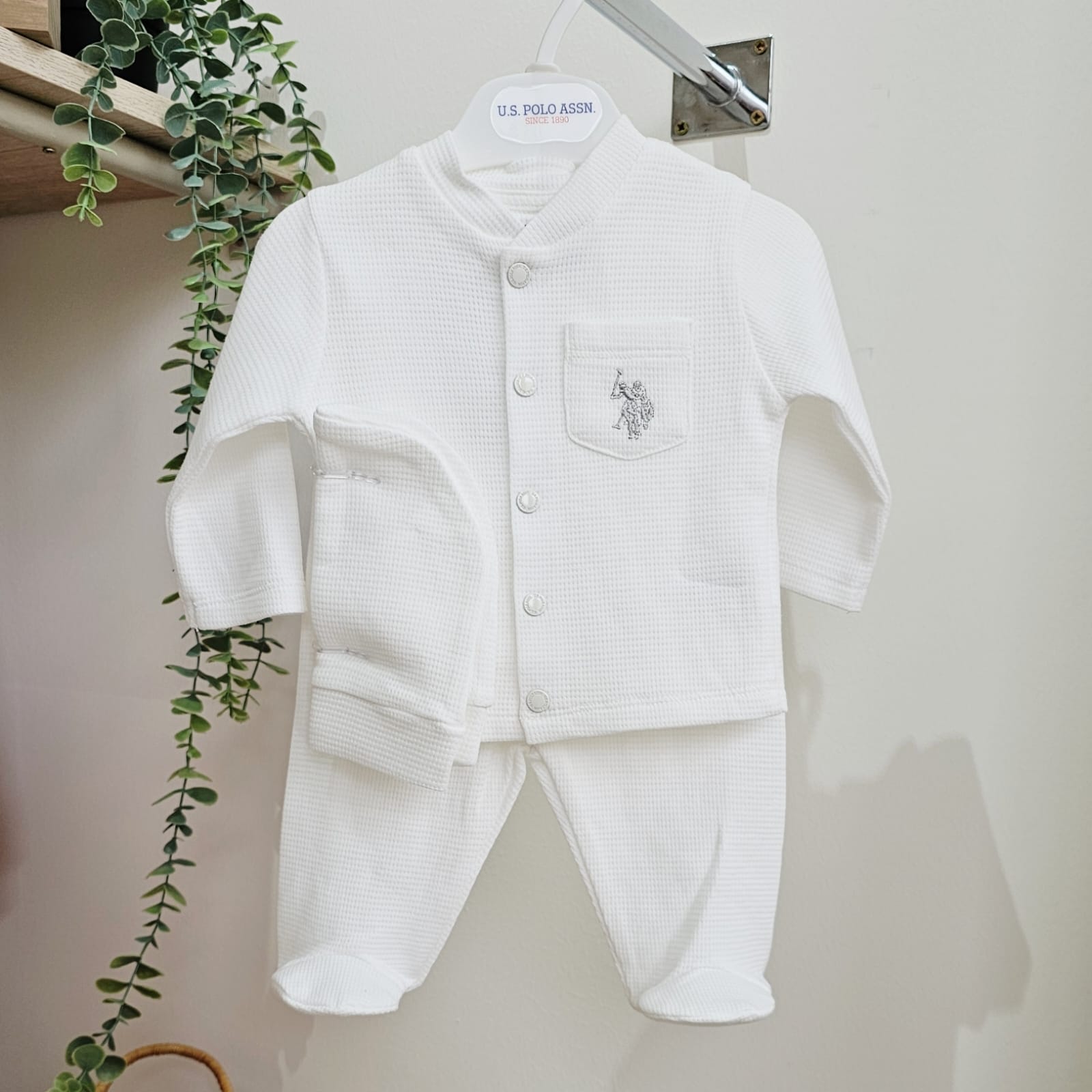 WhatsApp Image 2026-01-27 at 00.33.28