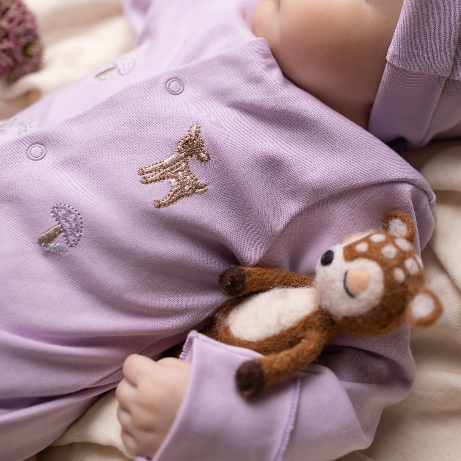 WhatsApp Image 2026-04-02 at 12.54.15 (1)