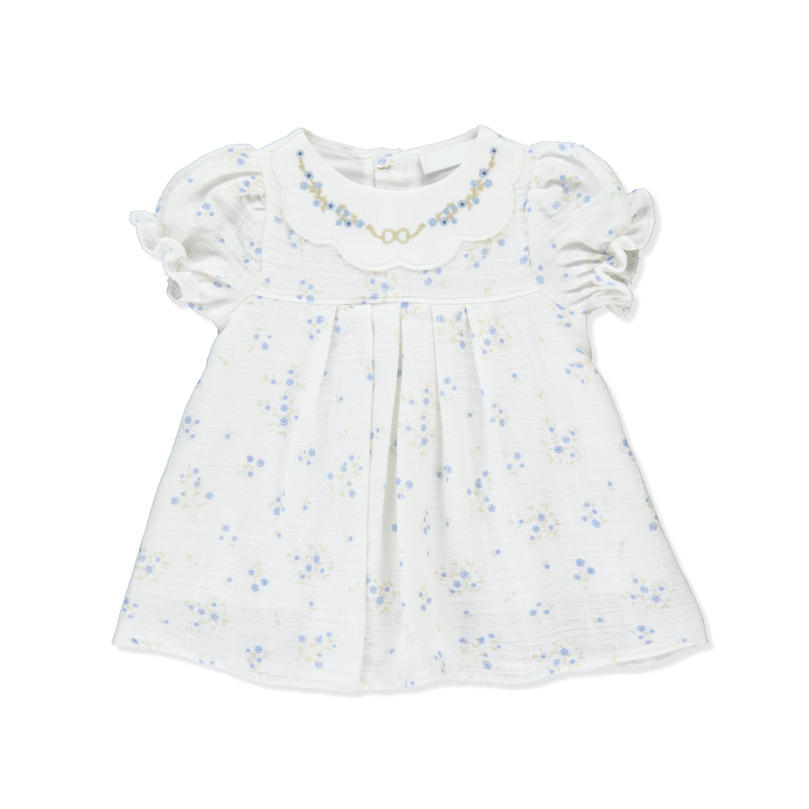 WhatsApp Image 2026-04-02 at 13.18.07