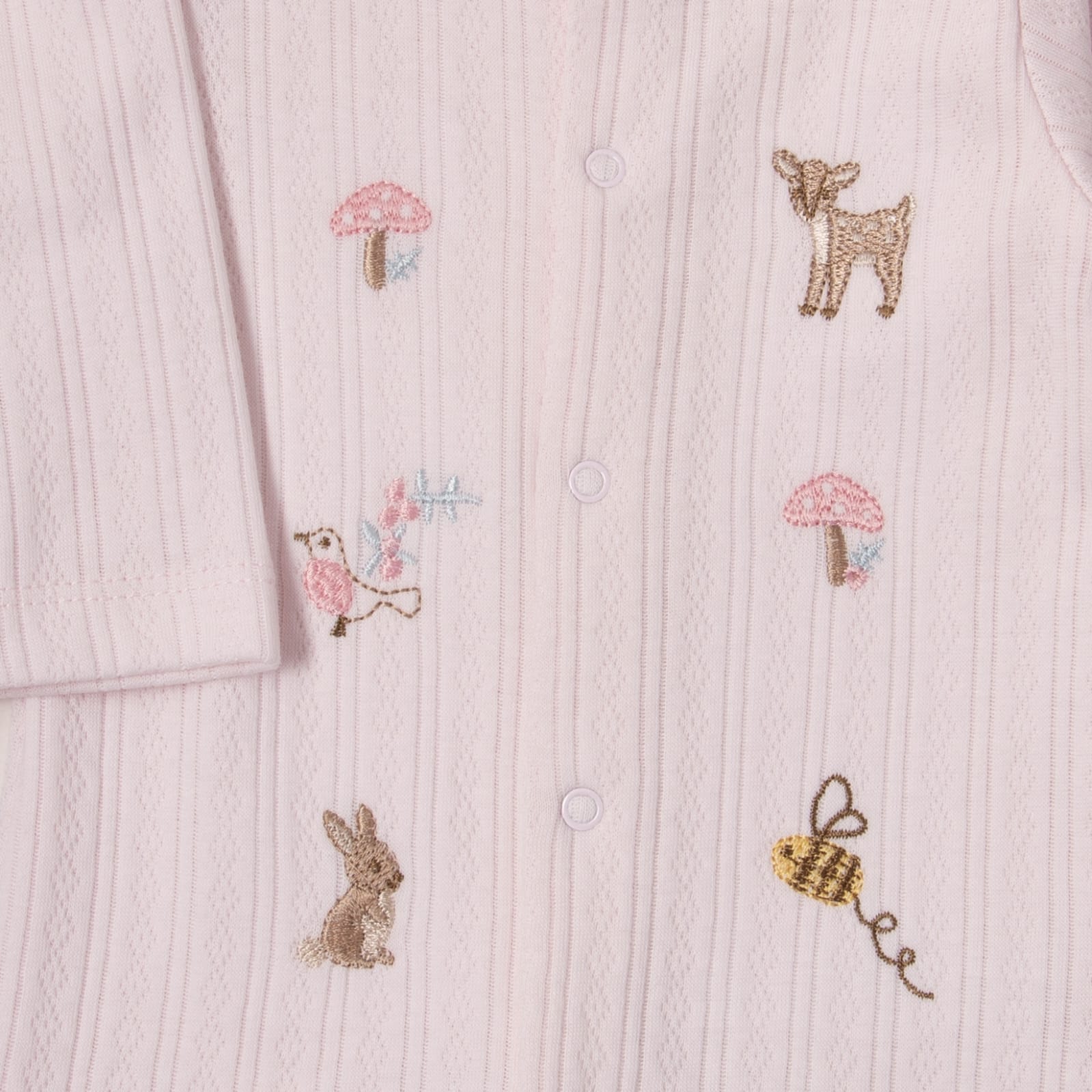 WhatsApp Image 2026-04-02 at 13.24.44 (1)