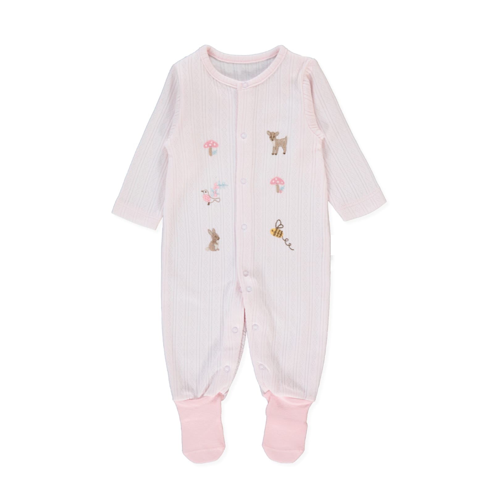 WhatsApp Image 2026-04-02 at 13.24.44