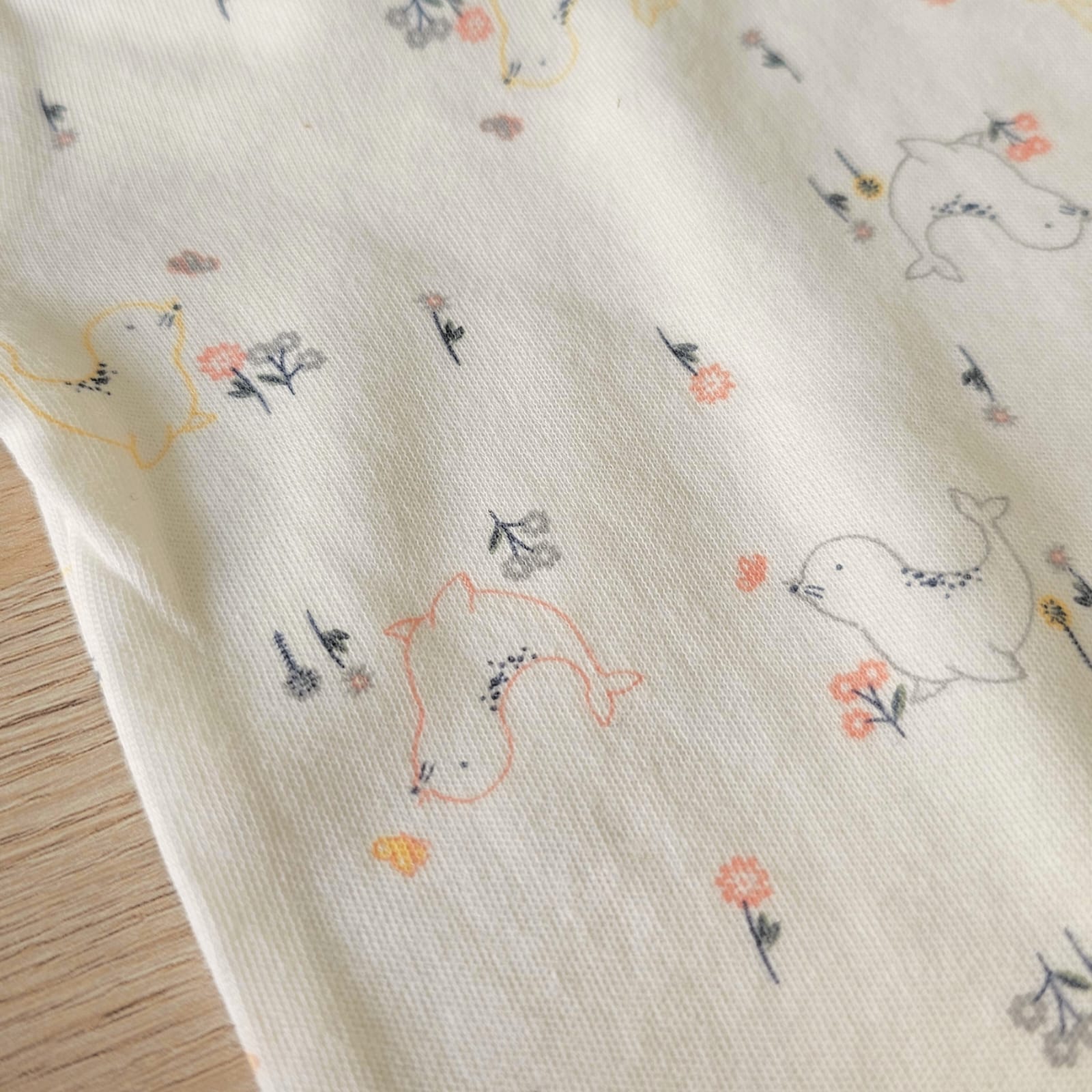 WhatsApp Image 2026-04-10 at 17.03.08