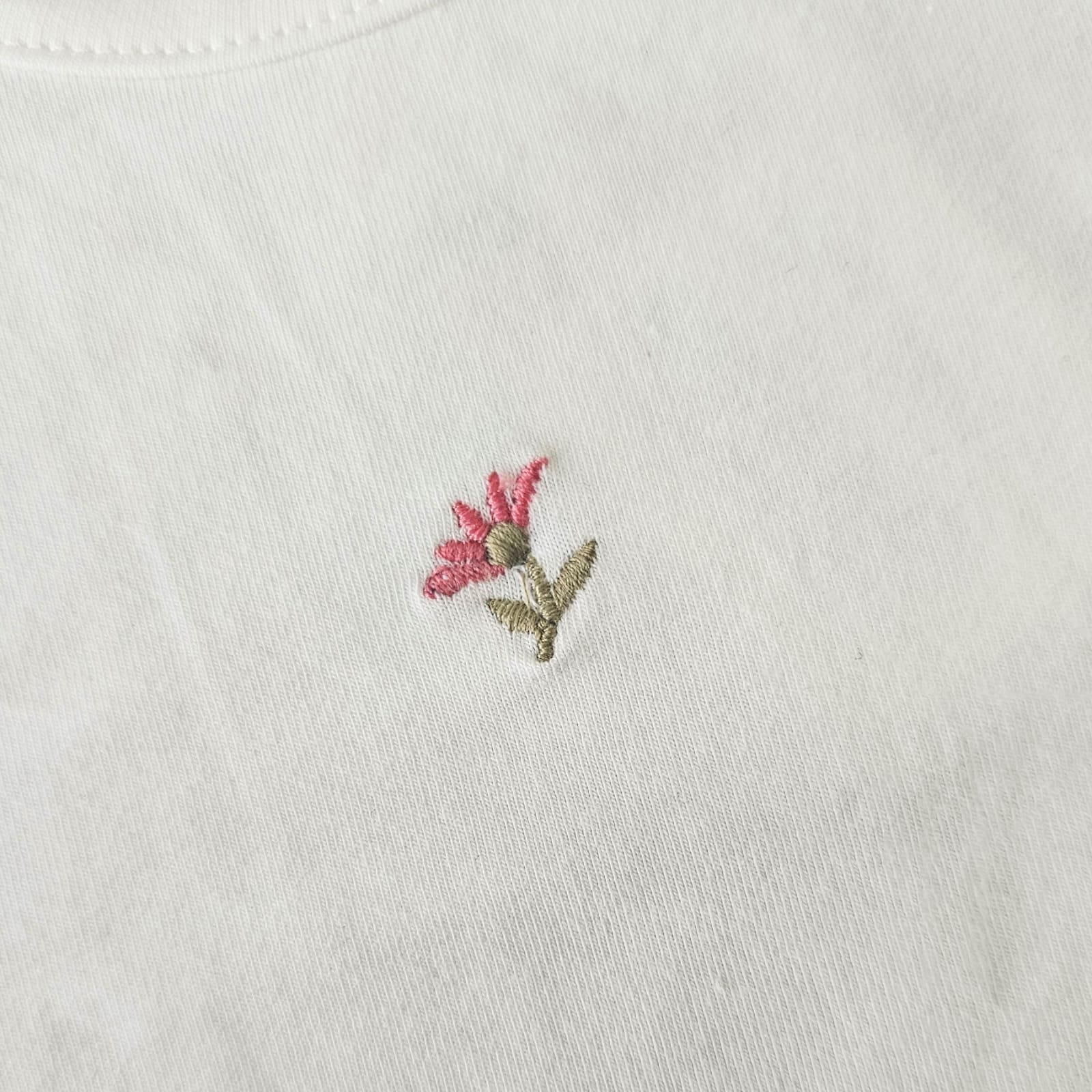 WhatsApp Image 2026-04-20 at 08.10.04 (1)