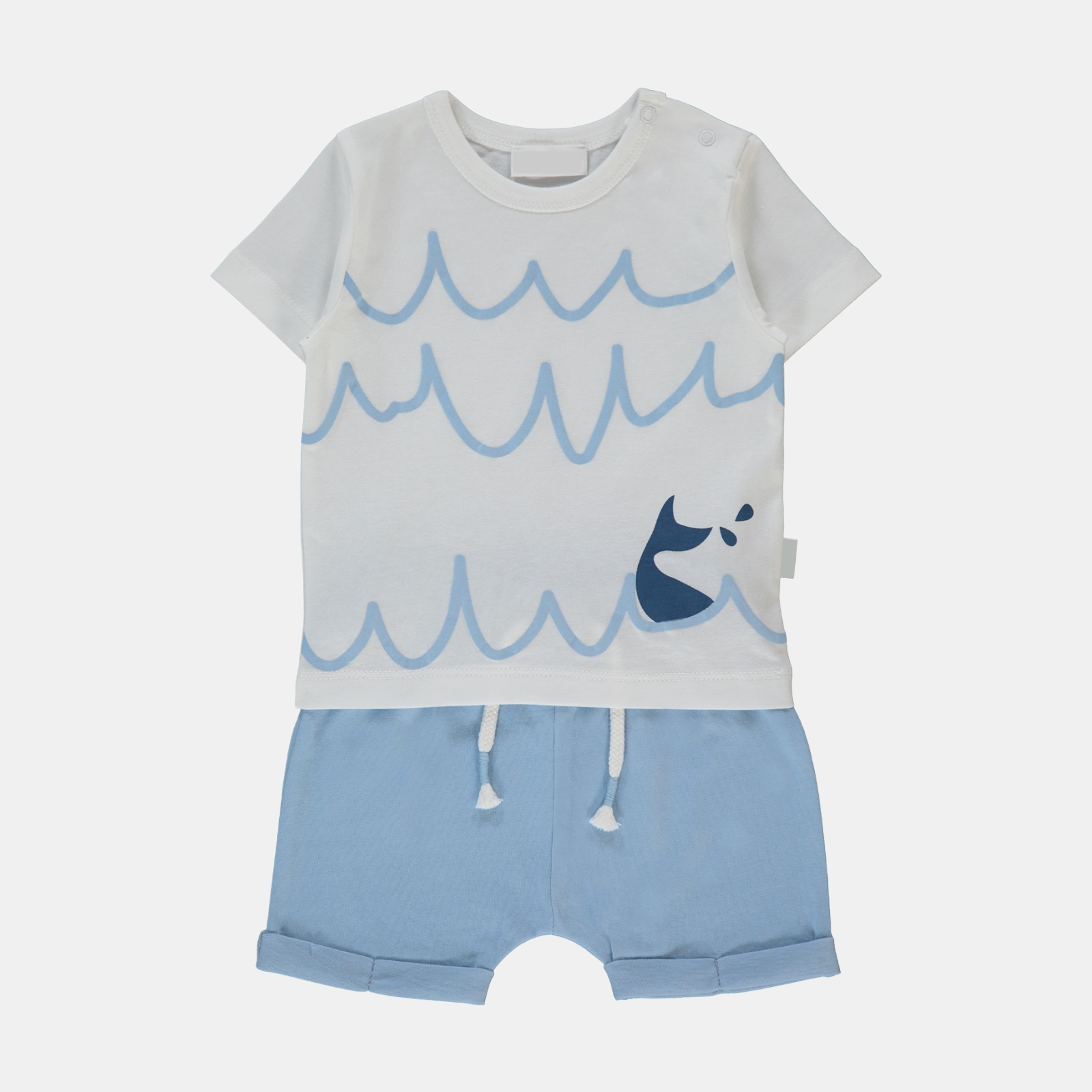 WhatsApp Image 2026-04-23 at 08.02.18