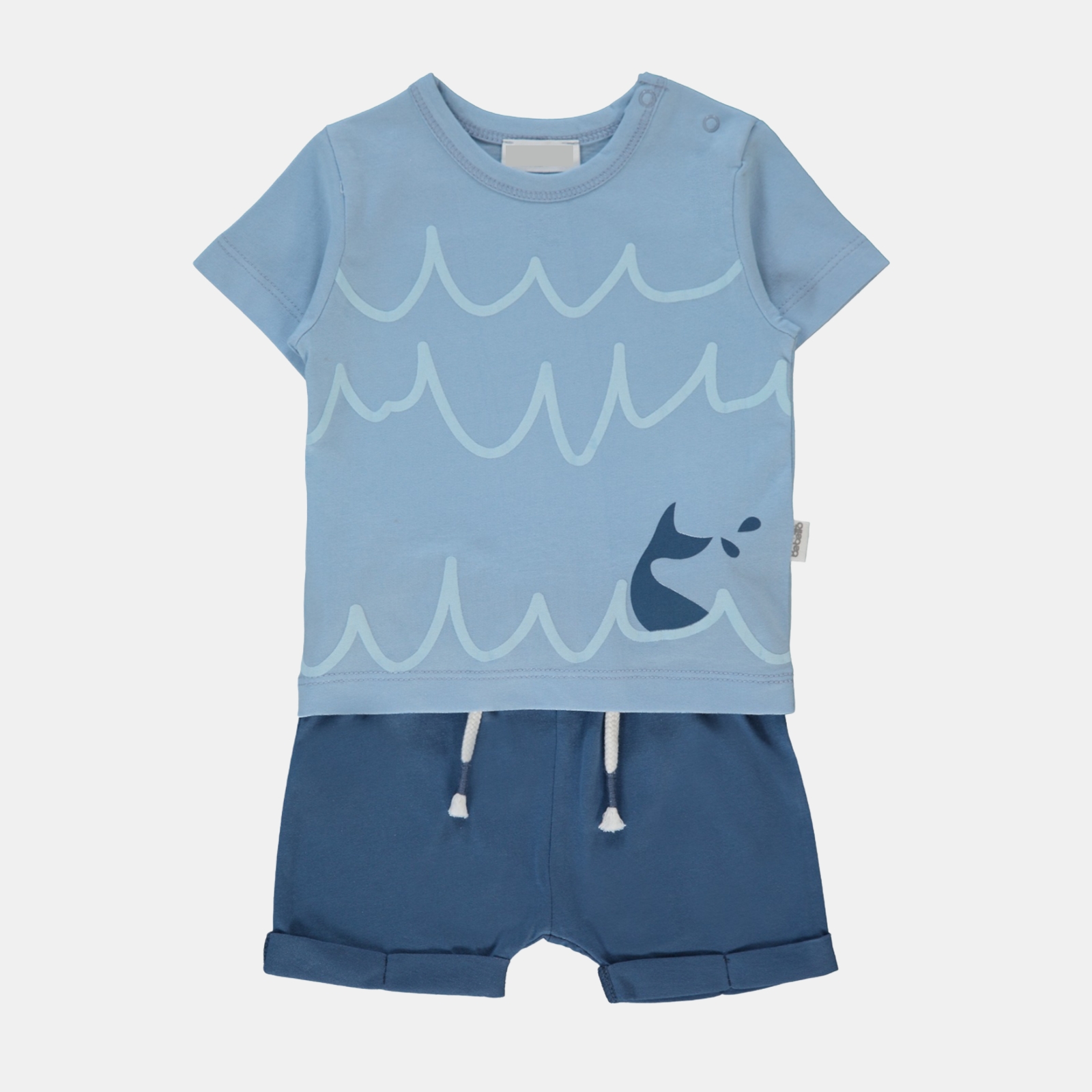 WhatsApp Image 2026-04-23 at 08.02.47